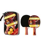 Table Tennis Paddle Set 2 Rackets 3 Balls Carry Bag Red Ping Pong