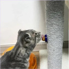 Cat Candy Treat