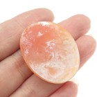 Antique Victorian Real Carved Mother-of-pearl Lady Cameo