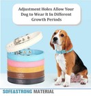 Personalized Leather Dog Collar Adjustable Engraved Tag Multiple Colors S-l