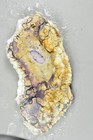 Tiffany Stone  opalized Fluorite  Spor Mountain Juab County Utah 170 Grams