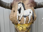 Steer Skull Painted 20 Inch Wide Bull Horn Cow Head White Stallion Horse