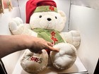 Dan Dee Christmas 2005 Plush Snowflake Teddy Bear White Poinsettias Scarf 21 