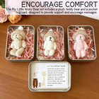2 Pieces My Little Worry Bear In Tin Box- Plush Teddy Pocket Hug With Greeting