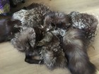 Roberts Furs San Francisco Was A Very Reputable Furrier In The 1900s Very Old