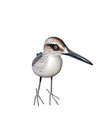 Sandpiper Metal Legs Hand Carved Wood Tropical Sculpture Bird Decor