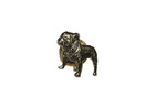 Vintage Mack Truck Lapel Pin Bulldog Dog Goldtone Pin Tie Tack 