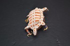 Hand Made Native American Beaded Leather Fetish  Turtle Amulet Vintage