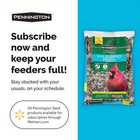 40 Lb Bag Of Classic Wild Bird Seed     Dry Feed  1 Pack  High-quality Blend
