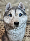 Vintage Sandicast Sitting Siberian Husky Dog