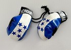 Honduras Honduran  Mini Boxing Gloves Country Pride Flag Car Truck Auto Gag Gift