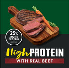 Purina Dog Chow High Protein Dog Food Dry Recipe With Real Beef  44 Lb Bag