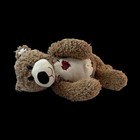 Haunted 11    Doll Emerson 37 Yr Man Spirit Bridge Death Town Surveyor