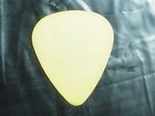 The Goo Goo Dolls Rare 1999 Concert Tour Logo Guitar Pick Name Iris Rock Band