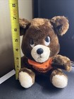 Vintage Dakin 1976 Be My Honey Brown Bear 8    Plush Stuffed Animal Orange Shirt