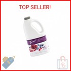 Torani Real Fruit Smoothie Mix  Blueberry Pomegranate  64 Ounce