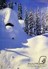 Volcom 2003 Wille Yli-luoma Snowboard Promotional Poster Flawless New Old Stock