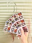 Flowers From The Garden Booklet Of Total 100 Pcs Forever Mnh  5240b
