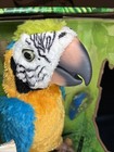 Furreal Squawkers Mccaw Remote Interactive Parrot Complete In Box Tested