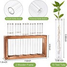 2pcs Desktop Glass Plant Propagation Station With 10 Test Tubes In Wooden Stand 