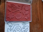 Stampin  Up   brand New  never Used   Cling Stamp Set   Die Set  true Beauty 