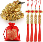 Feng Shui Money Frog With Chinese Coins Lucky Knots Red Blessing Bag Gold Thr   