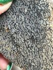 Dinosaur Bone Slab 78 Grams Rough Cab Agate Jasper