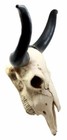 Ebros Large 27 wide Longhorn Steer Cow Skull Wall Head Hanging Sculpture Plaque