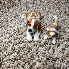 Schleich St Bernard Female   Puppy Figure Lot