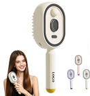 Electric Steam Hair Brush Spray Comb Anti Static Detangling Scalp  Usb