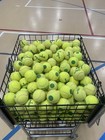 50 Wilson Green Dot Tennis Balls Excellent  A Quality See Other Listed No P Rico