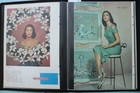 Movie Star Magazine Photos And Articles Scrapbook - Pier Angeli -  54