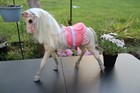 Aurora Toy Horse For 14  Dolls     Sparkly Ride-on Horse With Accessories New