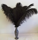 Black Ostrich Feather 16-20 Inch Long Per Each