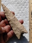 5  Dalton Spear Point Projectile Arrowhead Indian Artifact