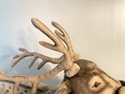 Vintage Life Size Steiff Studio Reindeer Rare Large Detachable Antlers Deer