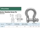 3 8  Screw Pin Anchor Shackle Galvanized Steel Drop Forged 2000 Lbs D Ring Bow
