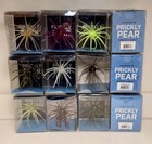 Hag s Bait Prickly Pear 19 Mm Bait U Choose Haze Pumpkin Hill Country Renegade  