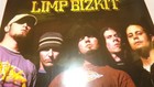 Vintage Limp Bizkit 16x20 Band Music Poster