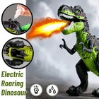 Electric Walking T-rex dinosaur Toys with Spray light roar ages 3 4 5 6 7 8