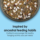Kaytee Food From The Wild  Pet Hamster Food  2 Pounds 2 Pound  pack Of 1 