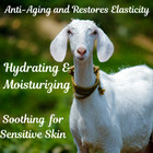 Goat   s Milk Soap W coconut Oil - You Choose Scent  -all-natural Pure Indulgence
