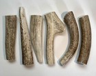  1  Large Grade A Premium Organic Whole Elk Antler Dog Chew Treat Craft