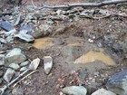 Gold Paydirt Premium - 6 Lbs - Unsearched Gold Panning Bag - Nuggets Pickers