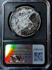 1855 So Chile Peso Ss Central America Shipwreck   Ngc