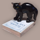 Northern Rose Black Scaredy Cat Tales Miniature Figurine New Free Shipping R325