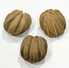 3 Antique Vintage Carved Wooden Buttons Squash Butternut Pumpkin Walnut Shape