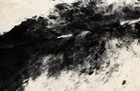 New Cowhide Rugs Area Cow Skin Leather 22 56 Sq feet  58 x56   Cow Hide U-1278