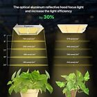 Full Spectrum Quantum Board Led Grow Light 2x2ft Coverage Green House Grow Light