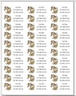 150 Beautiful Horse In Circle Flowers Mailing Return Address Labels Personalized